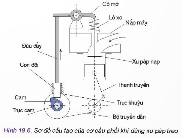 BÀI 19 - CÁC CƠ CẤU TRONG ĐỘNG CƠ ĐỐT TRONGMỞ ĐẦUCH: Nhận biết chi tiết xu páp trên Hình 19.1.Xu páp đóng, mở được thực hiện như thế nào?Đáp án chuẩn:Xu páp: là một thanh tròn dài với một đầu là hình tròn dẹtNguyên lí: Trục khuỷu quay → trục cam quay → tác động vào con đội → đũa đẩy → cò mổ → xupap → cửa nạp (thải) được đóng mở.I. CƠ CẤU TRỤC KHUỶU THANH TRUYỀNCH1: Quan sát Hình 19.2 và cho biết thanh truyền được kết nối với pít tông và trục khuỷu như thế nào.Đáp án chuẩn:Khi hoạt động, hoà khí bị đốt cháy tạo ra lực đẩy đẩy Piston chuyển động tịnh tiến trong lòng của xilanh → truyền sang chuyển động quay của trục khuỷu. Nhờ lực quay của bánh đà, thanh truyền lại đẩy piston về để bắt đầu các kỳ mới.CH2: Em hãy tìm hiểu và cho biết nhiệm vụ của xéc măng. Có mấy loại xéc măng? Đó là những loại nào?Đáp án chuẩn:Nhiệm vụ: tạo màng dầu bôi trơn cho xi lanh, chi tiết trung gian để truyền nhiệt từ piston đến xi lanh, ngăn không cho piston gõ vào thành xi lanhCó 2 loại xéc măng: xéc-măng khí (hơi), xéc-măng dầu.CH3: Tưởng tượng cắt ngang thân thanh truyền, hãy vẽ tiết diện mặt cắt và giải thích về hình dáng của tiết diện đó.Đáp án chuẩn:Tiết diện ngang của thanh truyền:Thanh truyền có rãnh dọc thân nên khi cắt sẽ có tiết diện ngang hình chữ I.CH4: Quan sát và cho biết trục khuỷu trên Hình 19.5 dùng cho động cơ có bao nhiêu xi lanh? Nêu nhận xét về vị trí giữa các cổ khuỷu với chốt khuỷu.Đáp án chuẩn:Trục khuỷu dùng cho động cơ có 4 xi lanh, cổ khuỷu và chốt khuỷu xếp đan xen với nhau.II. CƠ CẤU PHỐI KHÍCH1: Quan sát Hình 19.6 và cho biết: Khi đũa đẩy chuyển động theo chiều đi lên (theo chiều mũi tên) thì xu páp và pít tông chuyển động theo chiều đi lên hay đi xuống.Đáp án chuẩn:Khi đũa đẩy chuyển động theo chiều đi lên thì xu páp và pít tông chuyển động theo chiều đi lên.CH2: Dựa vào nguyên lí của cơ cấu phối khí dùng xi lanh treo, em hãy trình bày nguyên lí của cơ cấu pha phối khí dùng xu páp đặt.Đáp án chuẩn:Trục khuỷu quay → trục cam quay → tác động vào con đội → đũa đẩy → cò mổ → xupap → cửa nạp (thải) được đóng mở.CH3: Em hãy tìm hiểu và cho biết thêm những cách dẫn động trục cam từ trục khuỷu khác.Đáp án chuẩn:Dẫn động trục cam bằng bộ truyền bánh răng, dẫn động trục cam trên ô tô bằng bộ truyền xích, dẫn động trục cam bằng dây curoa.III. THÂN MÁY VÀ NẮP MÁY