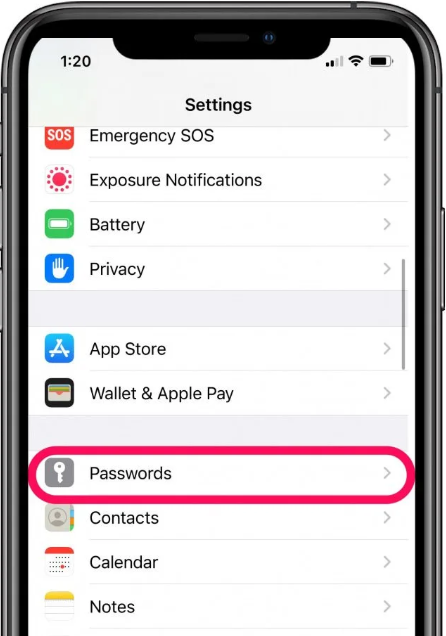 How to View Saved Passwords on iPhone iOS 14? 3
