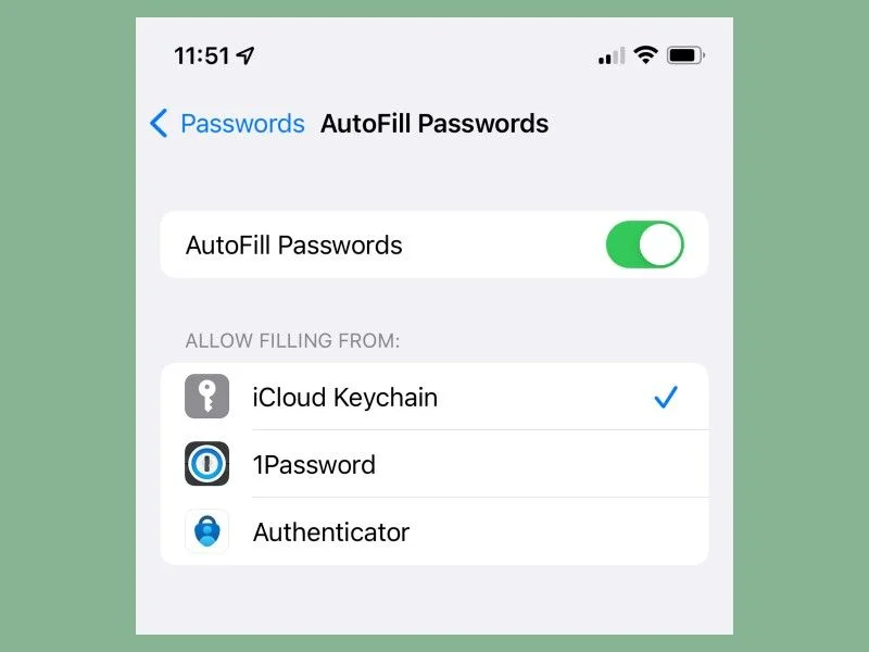How to View Saved Passwords on iPhone iOS 14? 7