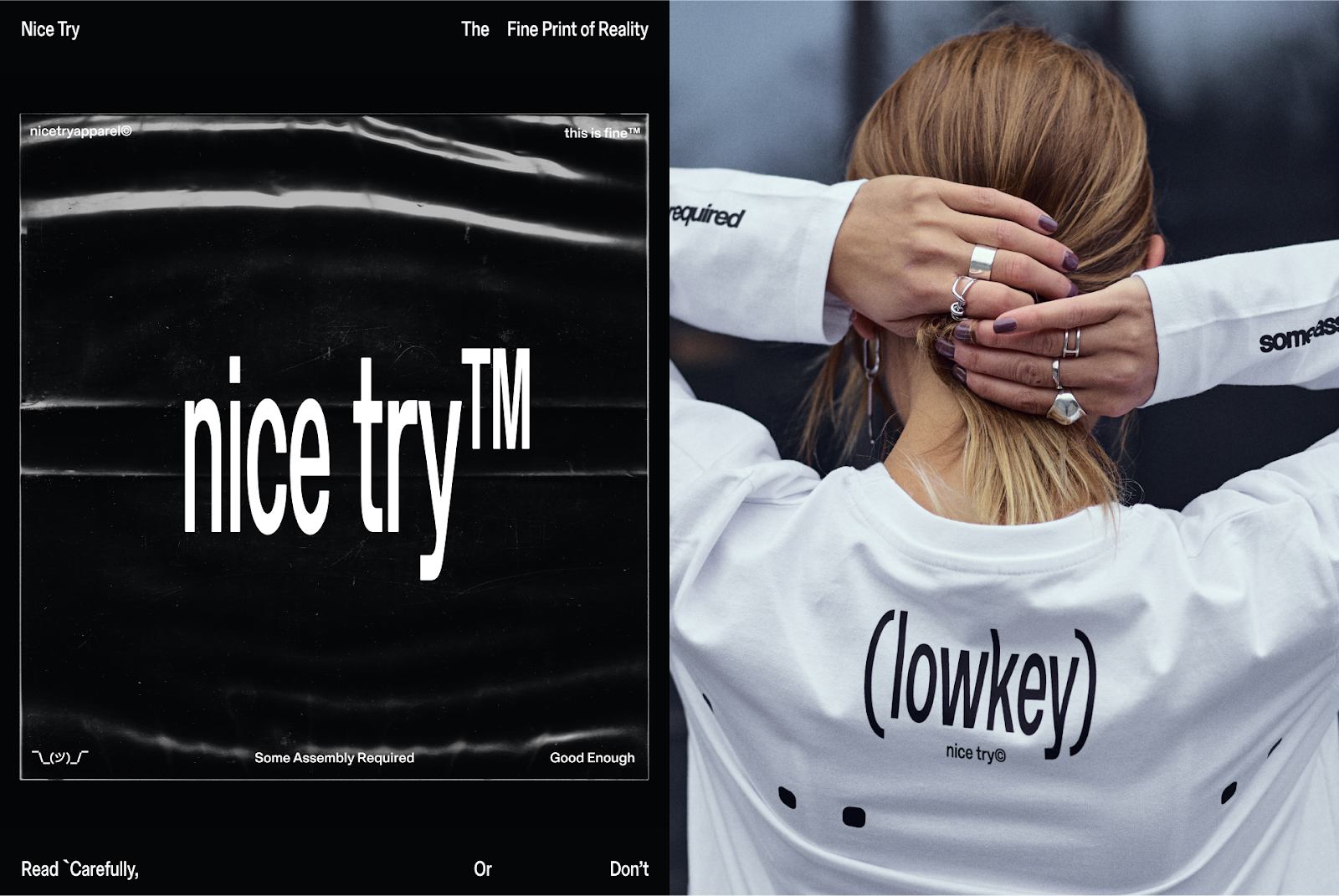 Image from the Blurring Lines: Nice Try's Branding & Variable Type article on Abduzeedo