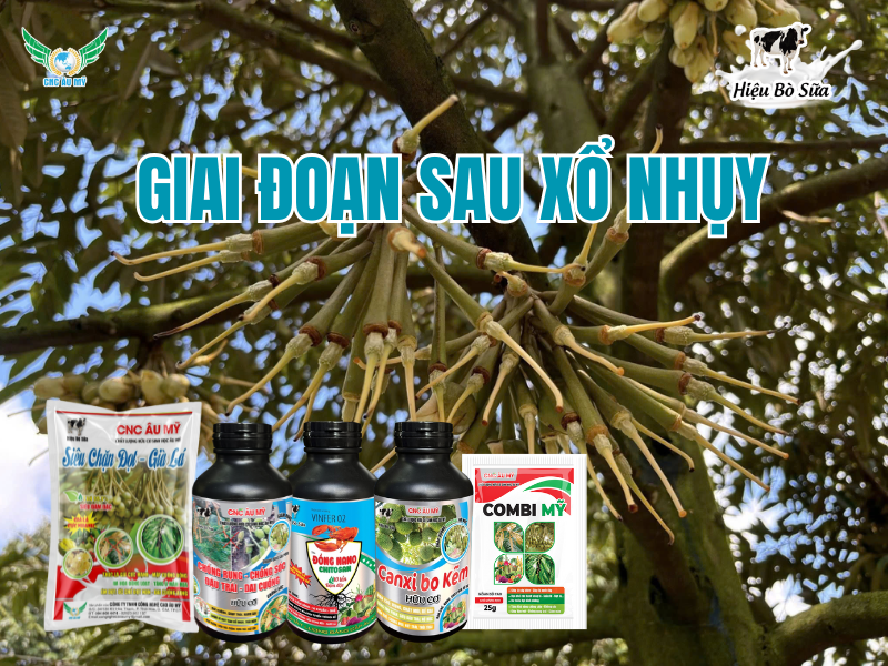BỘ SẢN PHẨM CÔNG TY CÔNG NGHỆ CAO ÂU MỸ 