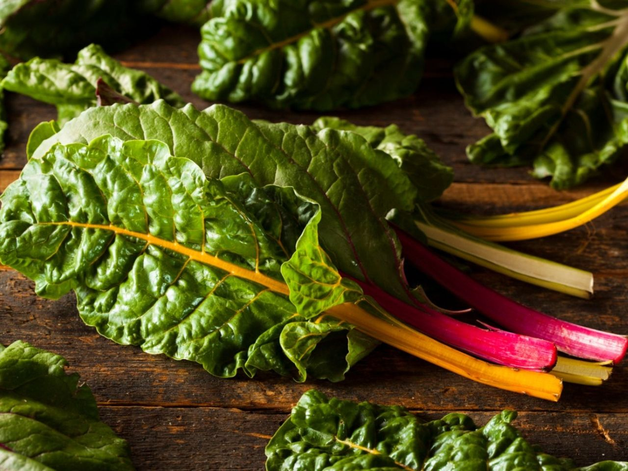 Harvesting Swiss Chard