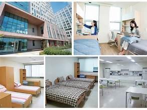 Several beds in a room

AI-generated content may be incorrect.