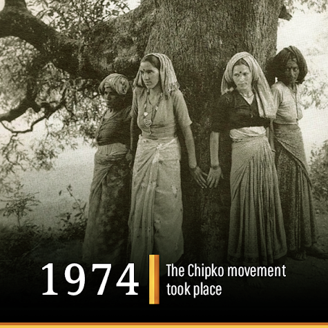 #WorldEnvironmentDay2025
