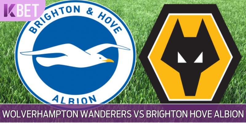 Wolverhampton Wanderers vs Brighton & Hove Albion