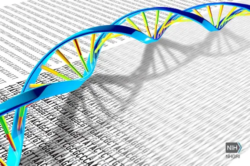 Future of Sequencing 
