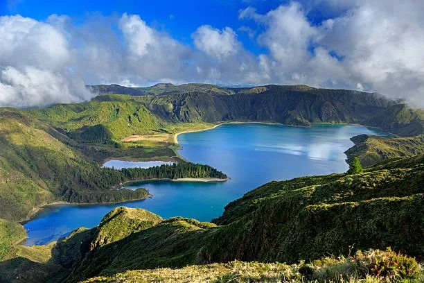 12 Mountain Peaks Framed by Lush Forests, mountain peak, lush forest, nature, forest, landscape, forested slopes, alpine view