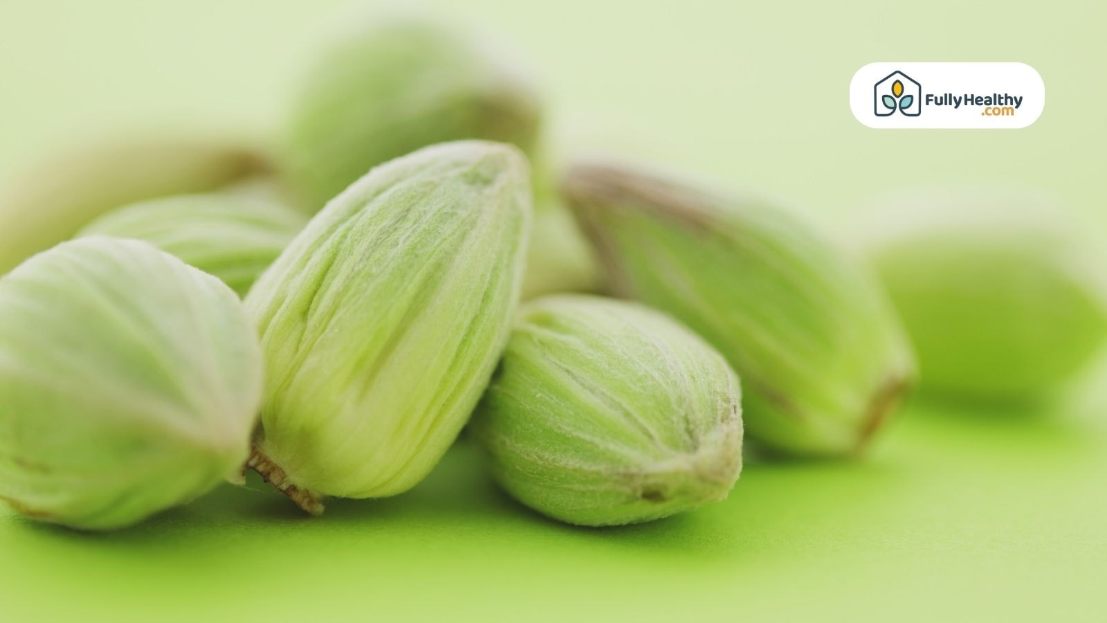 Extreme close-up of green cardamom pods on light green background