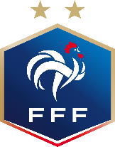 Fédération française de football — Wikipédia