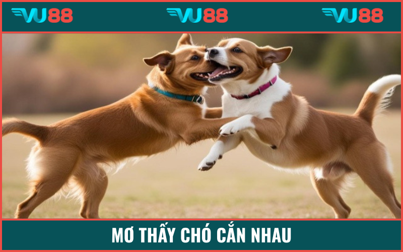 Cẩn trọng lời nói khi mơ thấy con chó cắn nhau