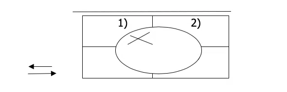 Diagnostic du varroa : détection et prise de décision - MALADIES & PARASITES