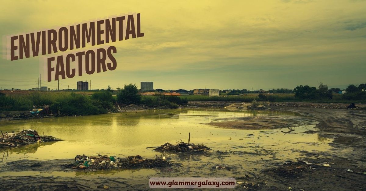 Polluted wetland with litter, industrial backdrop