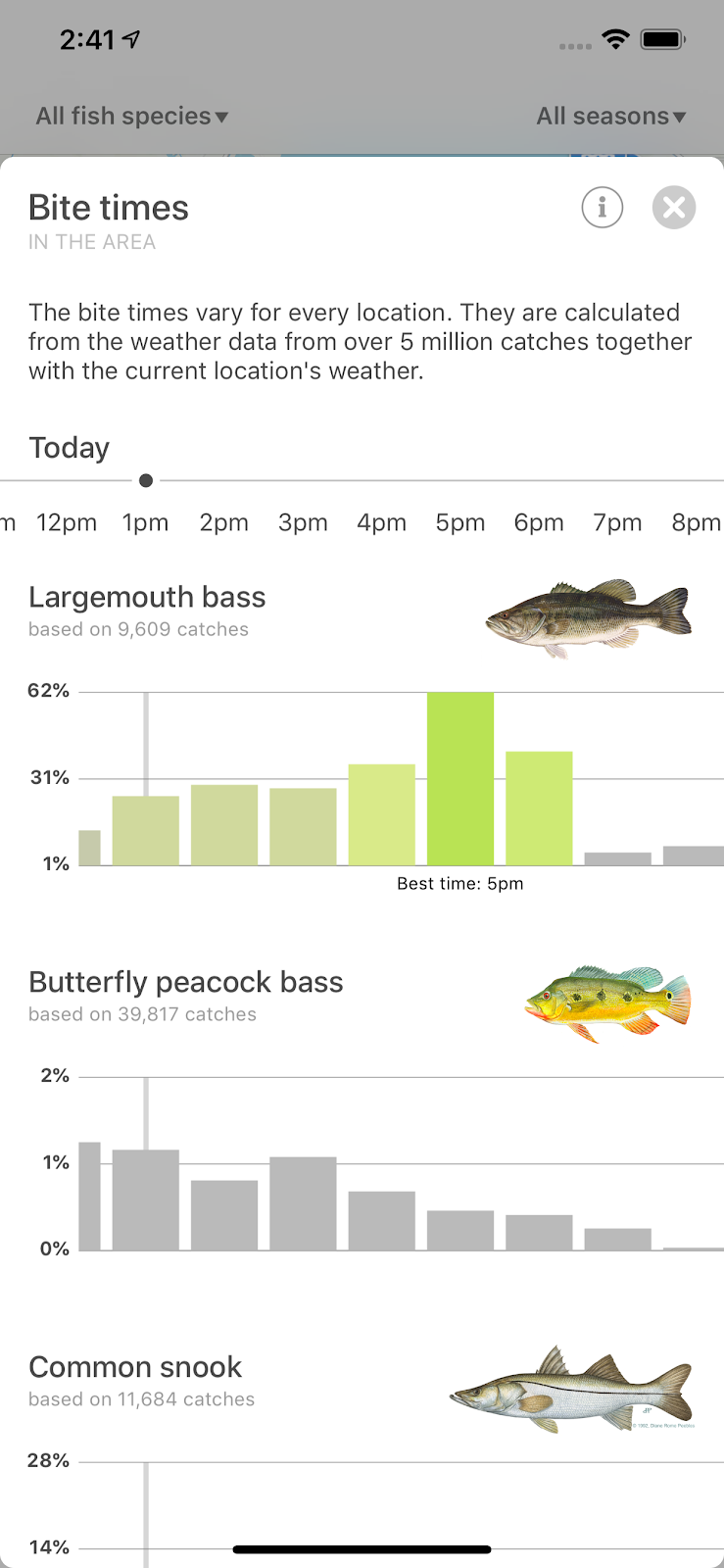 When is the Best Time to Go Fishing for Bass: Expert Tips Revealed