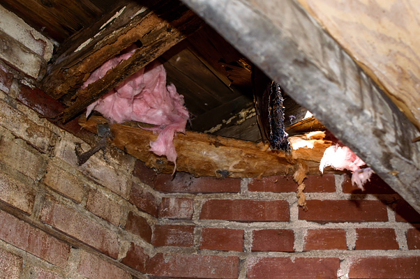 Roof Replacement