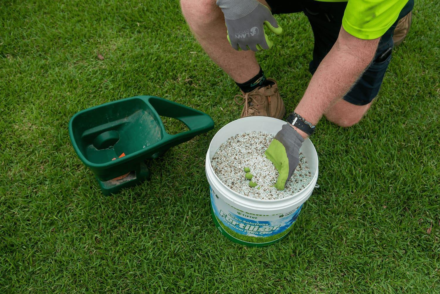 Fertilizing the Lawn with Spreader