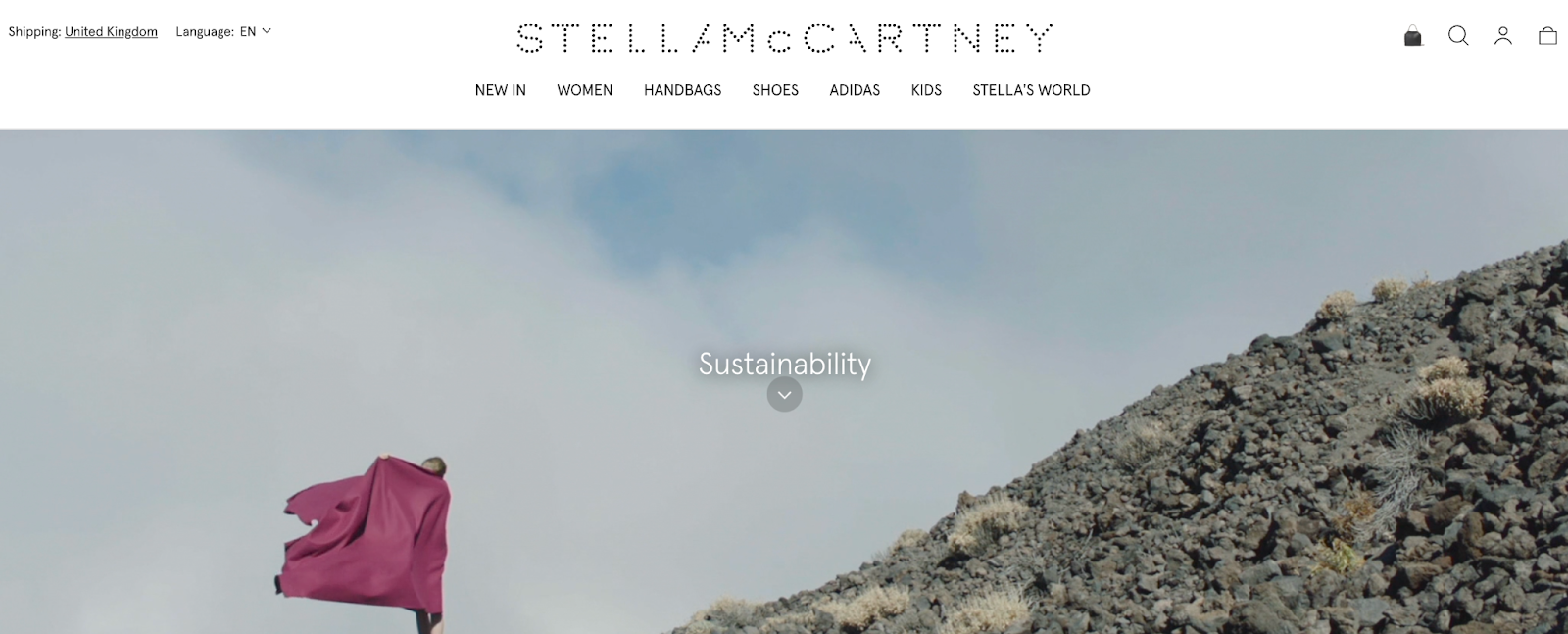 Sustainability as a fashion marketing trend