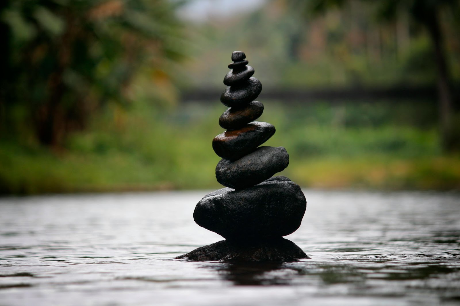 A pile of rocks