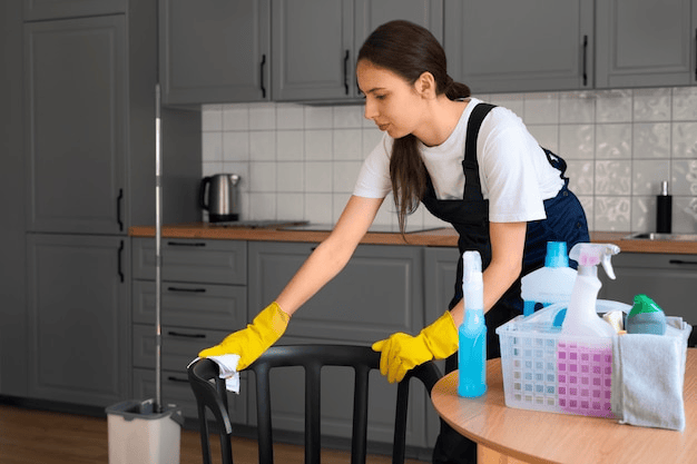 Why Choose Professional Cleaning Services?