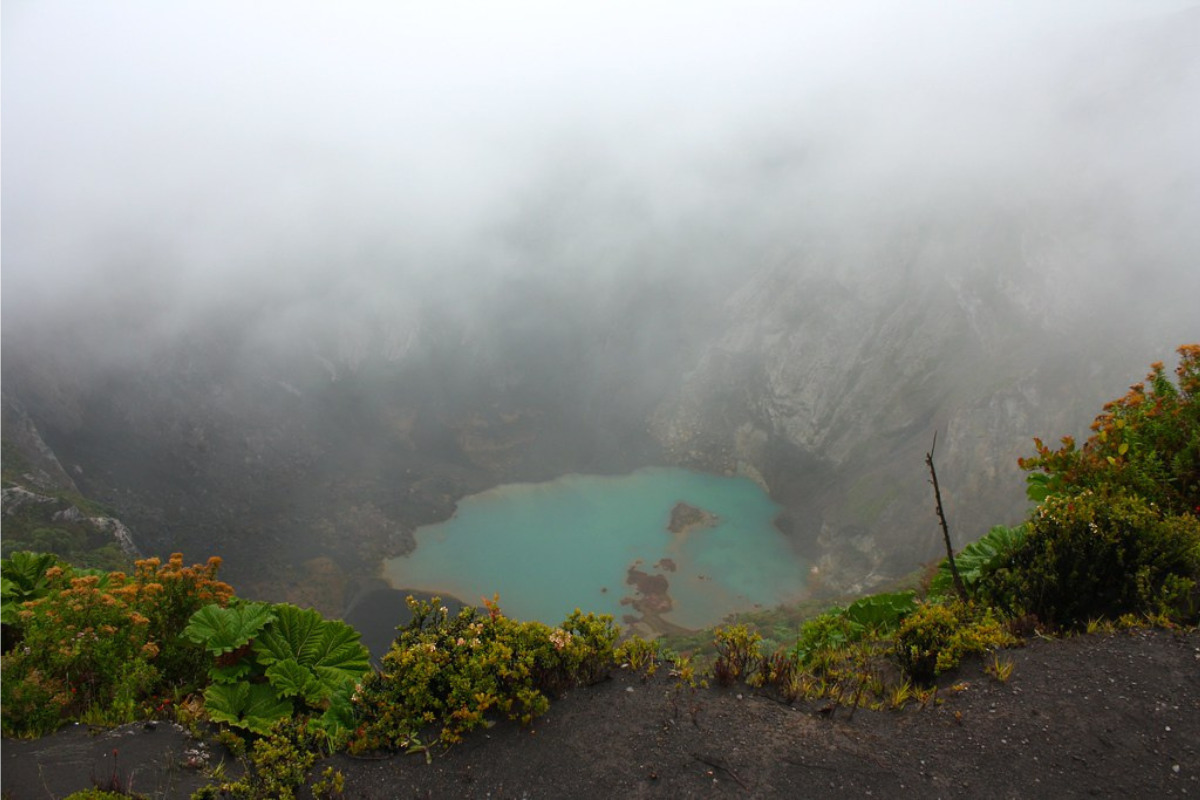 There is water in deep and on the top various plants around there and the atmosphere is misty