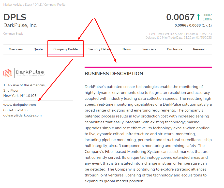 Company Profile направление деятельности компании должно быть понятным и перспективным