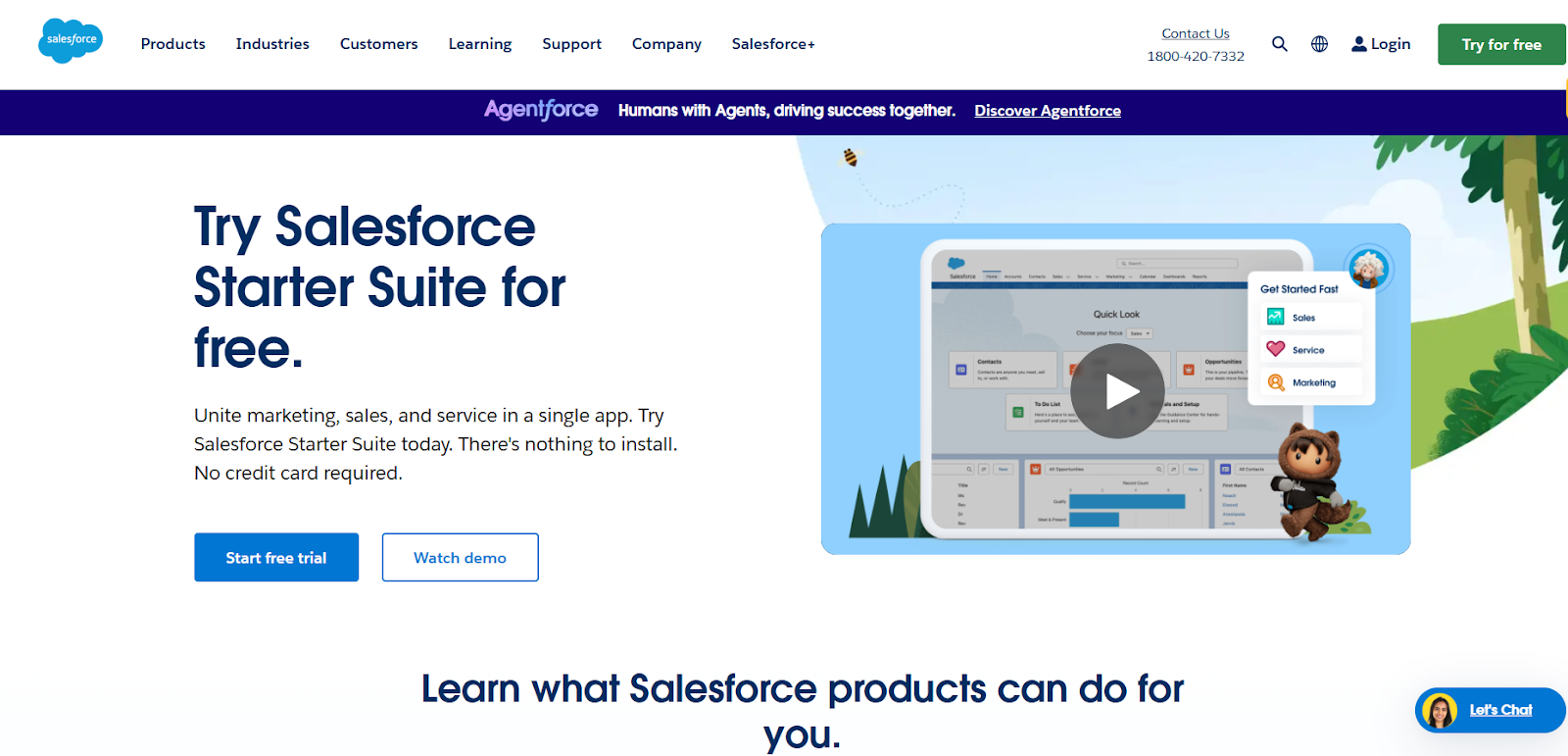 SalesForce Homepage