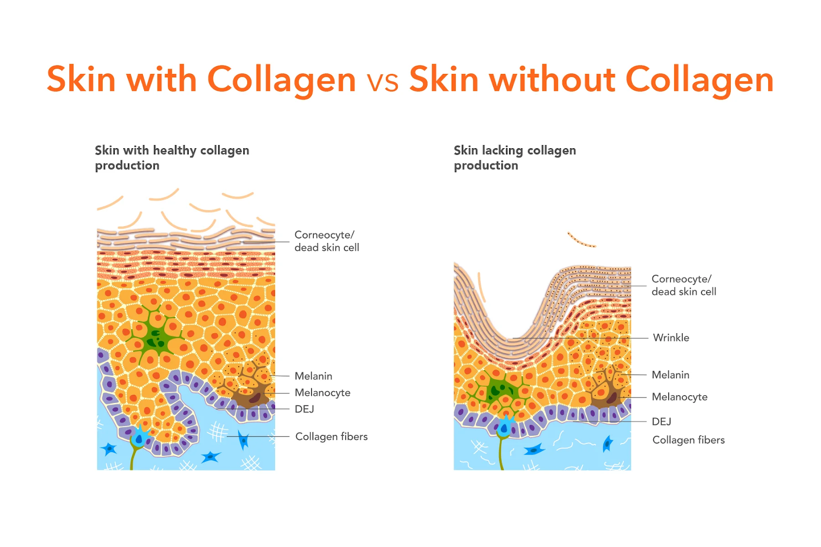 What Is Pigmentation Trying to Tell You