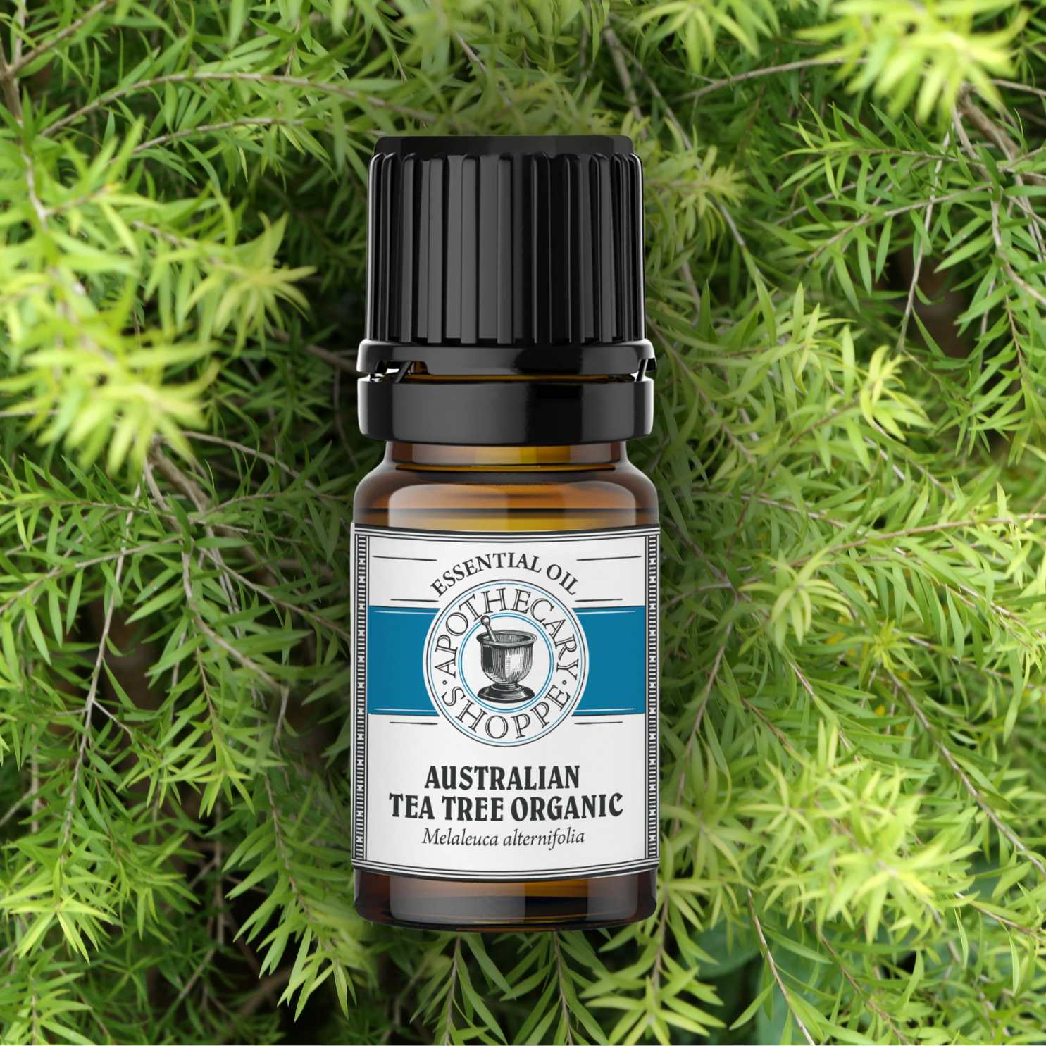 Tea Tree Essential Oil