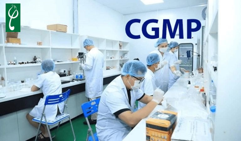 Nhà máy gia công mỹ phẩm cần đáp ứng tiêu chuẩn CGMP 