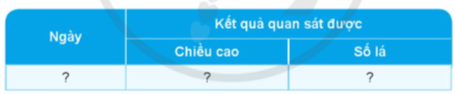 BÀI 9. SỰ LỚN LÊN VÀ PHÁT TRIỂN CỦA THỰC VẬT CÓ HOA