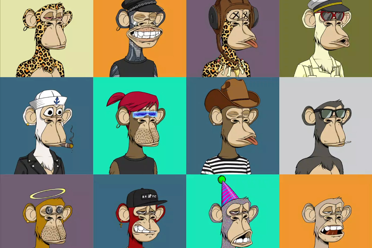 Bored Ape Yacht Club collection