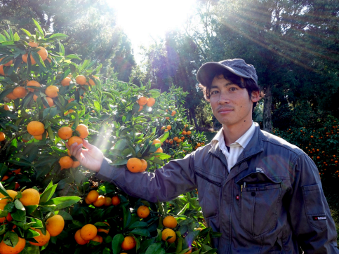 家人共享長崎蜜柑的溫馨畫面