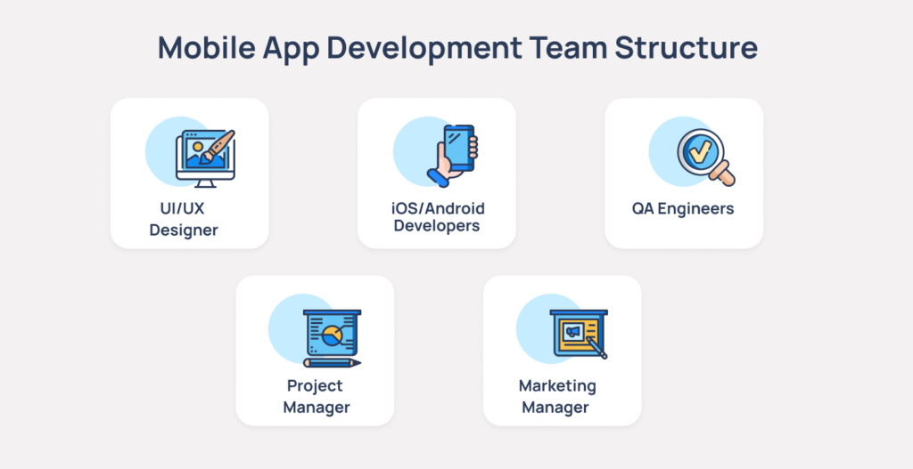 Team Structure For Dream 11