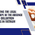 Navigating the Legal Landscape in the Absence of Debt Collection Agencies in Vietnam
