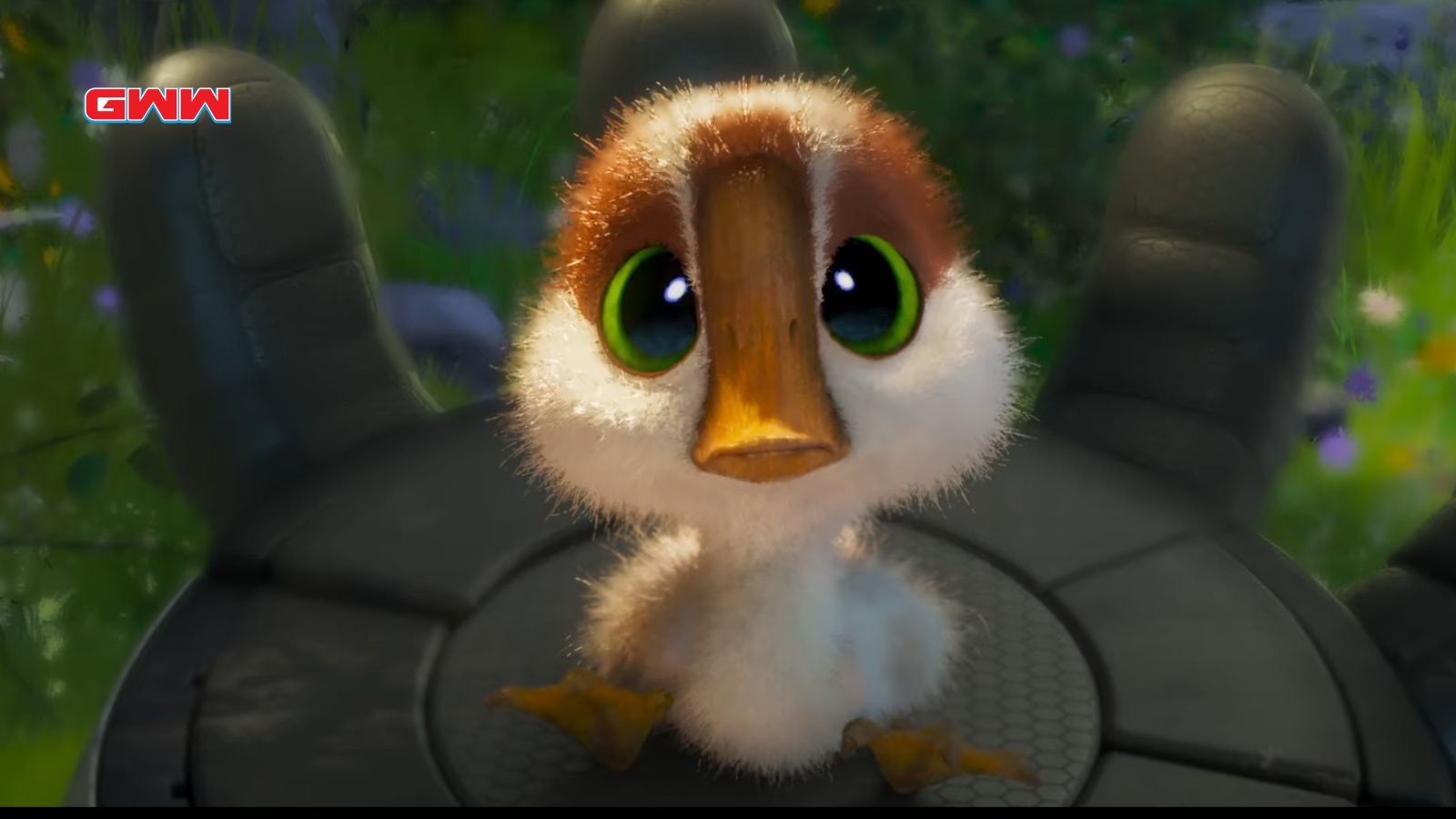 A small, fluffy chick with big green eyes sits on a Roz hand.