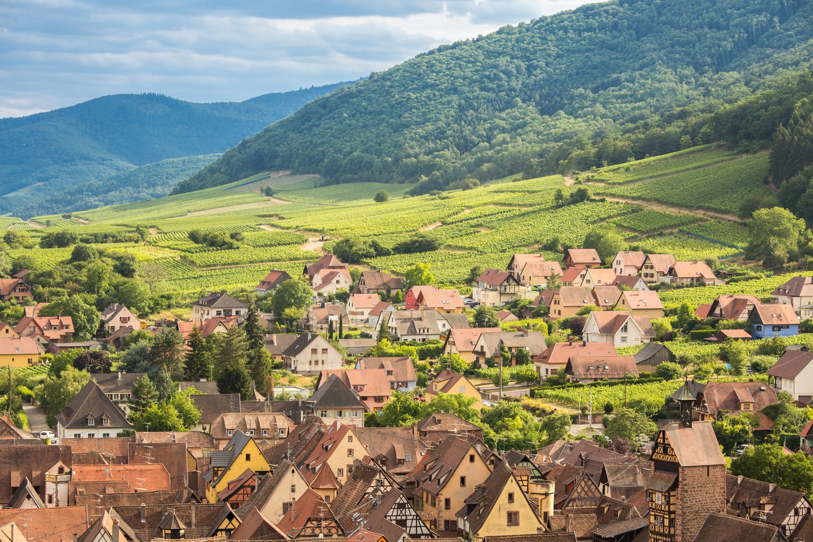 Riquewihr in the heart of the Alsatian vineyard