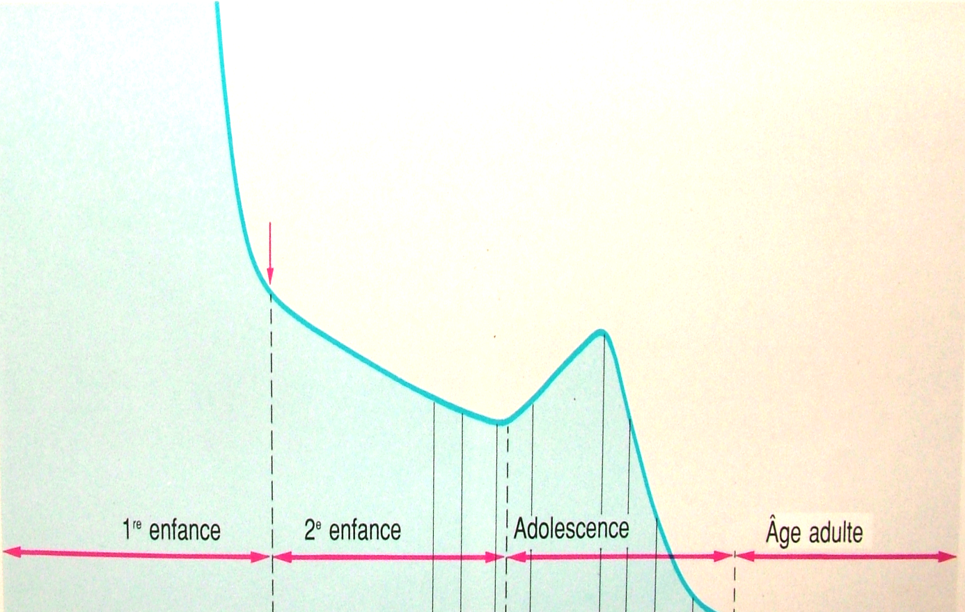 LAS SUPERPOSICIONES