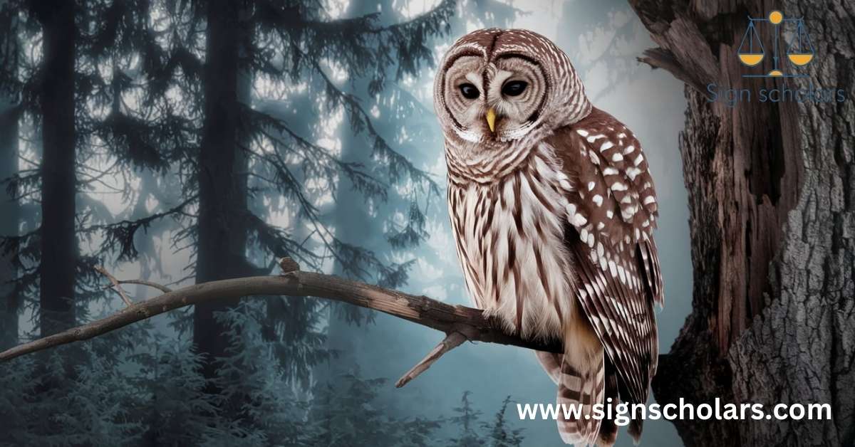 Cultural Perspectives on Barred Owl Symbolism