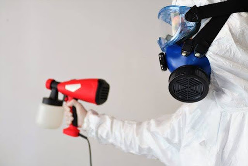 Selling a House with Mold: What Homeowners Need to Know