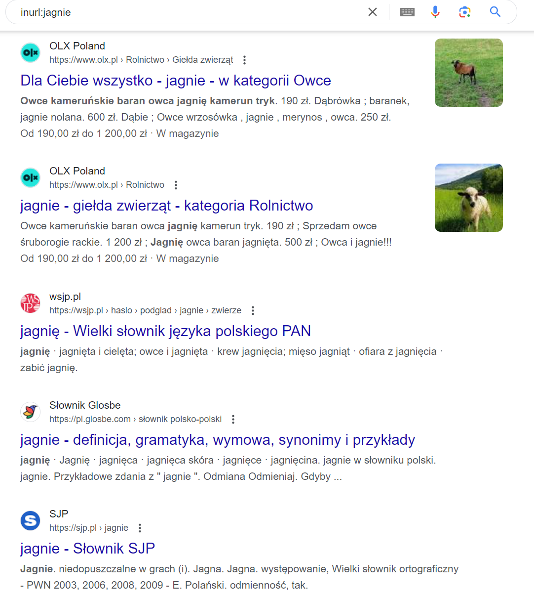 Operator Google  - inurl