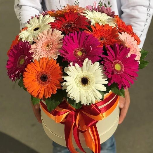 flores Gerberas