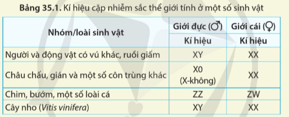 BÀI 35: NHIỄM SẮC THỂ VÀ BỘ NHIỄU SẮC THẾ