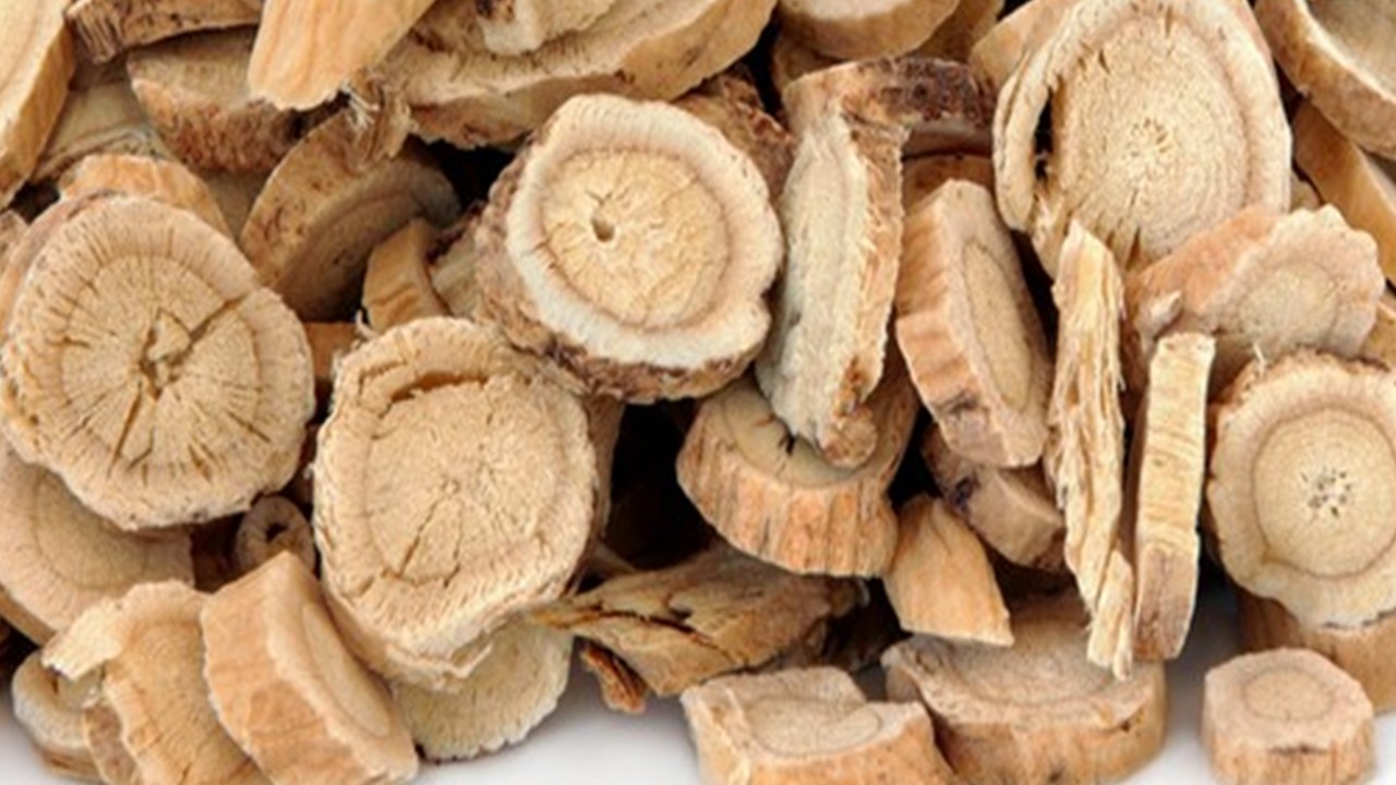 Image of dried Astragalus Root
