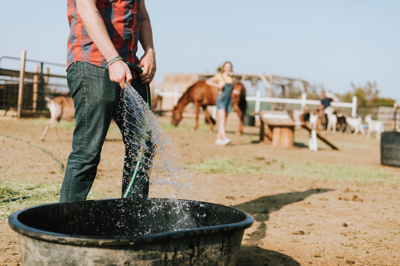 rainwater harvesting
