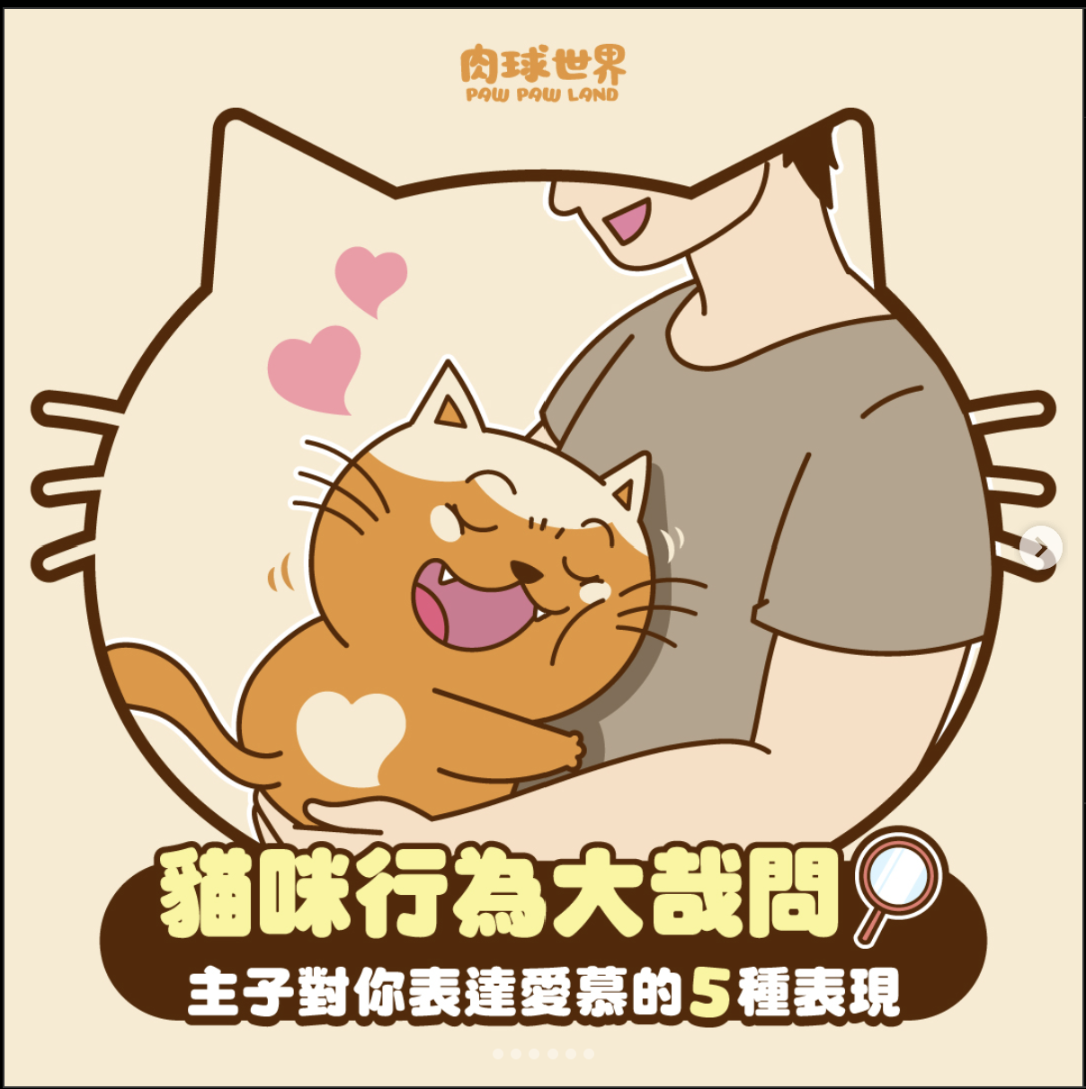 貓味行為大哉問！主子對你表達愛慕的5種表現