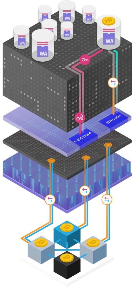 CRYPTONEWSBYTES.COM AD_4nXdcaF49hphYZx3HFsbbL3bZcJI_6GU1vnbHuyr28YK1OrTZjcT_Od6qIlNDcrhIdR5JqBdq9AmtzBvkY6sg4m1EqbhsrkWKWH7Wp-XfkDB8Yf9nxQ-9j9-H-t6qZ_YSPSUK603_t-LeXKDlHdqassoc7np0?key=PHcWy4iphObJ__mqHvPQU5vK "Bitcoin is Going Up, Regardless of Presidents, Policies, or ETFs," Says Anthony Pompliano  