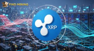 ljkg Are XRP holders the ultimate winners? FindMining launches XRP-based contract strategy to achieve easy daily income.