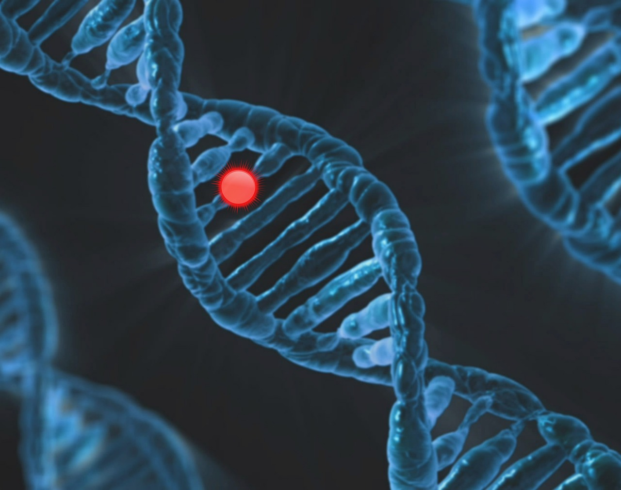 NGS Applications in Genomic Research and Medicine
