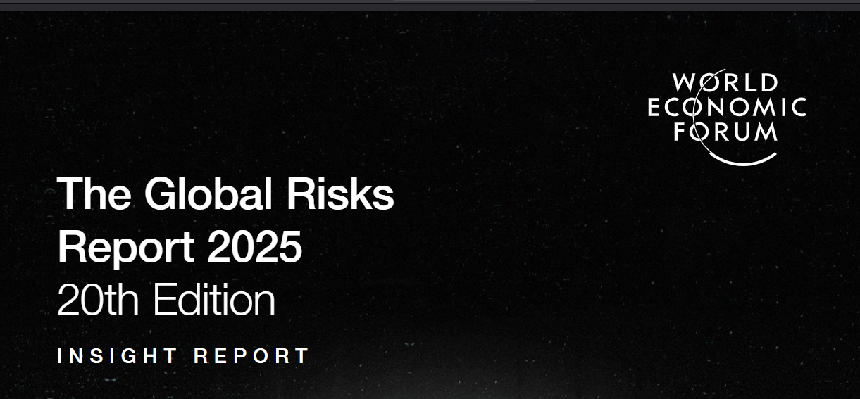 The Global Risks Report