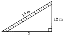 NCERT Solutions for Class 7 Maths Chapter 6 The Triangle and its Properties Ex 6.5 3