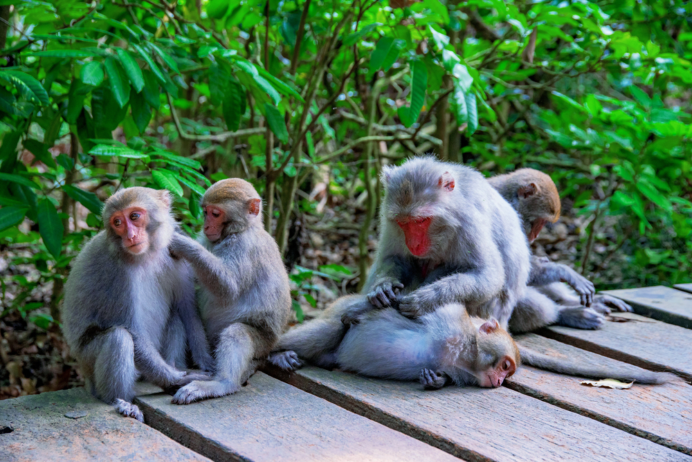 Shoushan National Nature Park